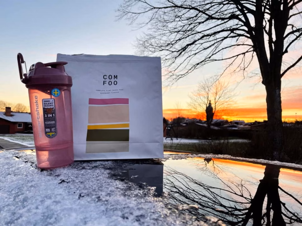 Illustration: IMG_0586