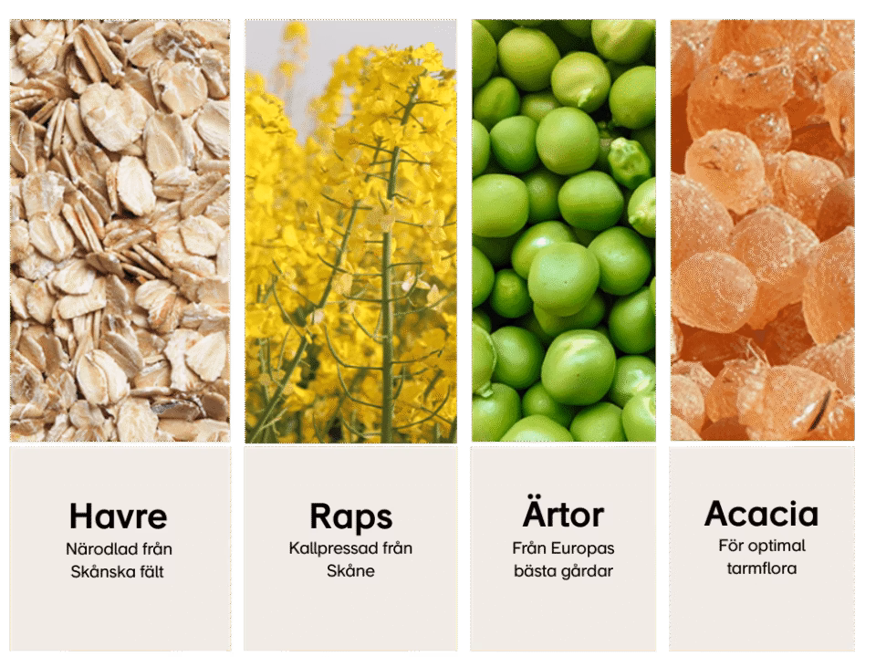 Illustration: ComFoo-ingredienser-1.png